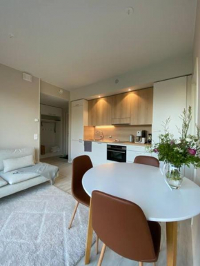 Skyview apartment Kalajoki Hiekkasärkät Kalajoki